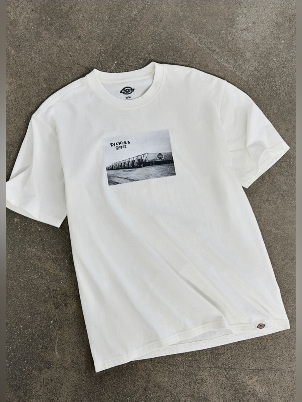 Dickies Sevier Graphic Tee NWT Size L - Cream